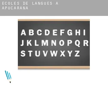 Écoles de langues à  Apucarana