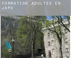 Formation adultes en Japon