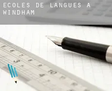 Écoles de langues à Windham