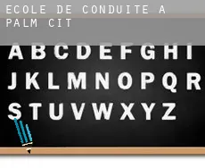 École de conduite à Palm City