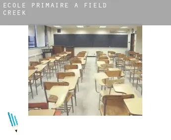 École primaire à  Field Creek
