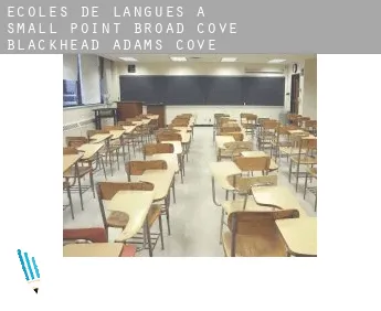 Écoles de langues à  Small Point-Broad Cove-Blackhead-Adams Cove