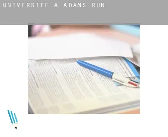 Universite à  Adams Run