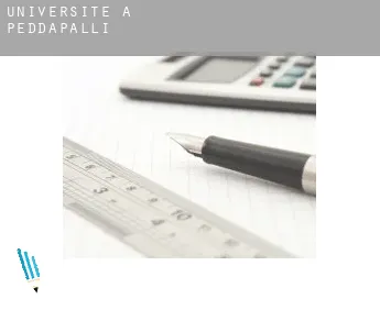 Universite à  Peddapalli