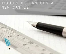 Écoles de langues à  New Castle