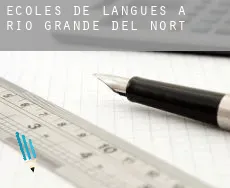 Écoles de langues à Rio Grande do Norte