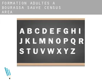 Formation adultes à  Bourassa-Sauvé (census area)