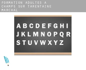Formation adultes à  Champs-sur-Tarentaine-Marchal