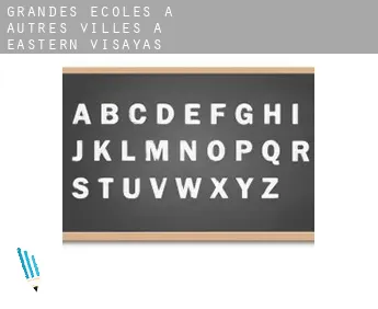 Grandes écoles à  Autres Villes à Eastern Visayas