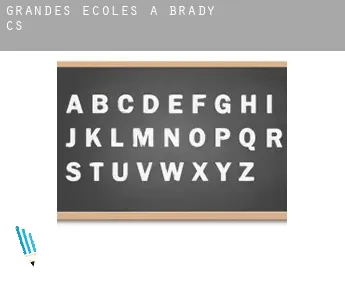 Grandes écoles à  Brady (census area)