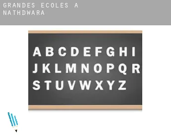 Grandes écoles à  Nāthdwāra