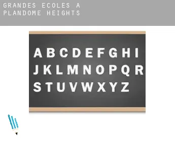 Grandes écoles à  Plandome Heights
