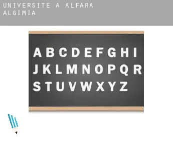 Universite à  Alfara de Algimia