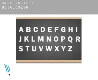 Universite à  Działoszyn