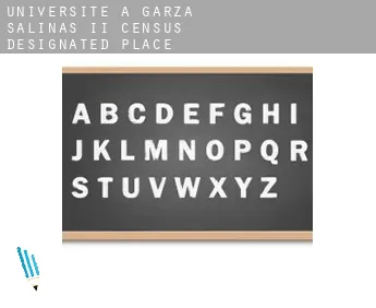 Universite à  Garza-Salinas II