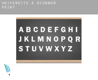 Universite à  O'Connor Point