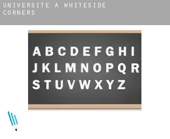 Universite à  Whiteside Corners