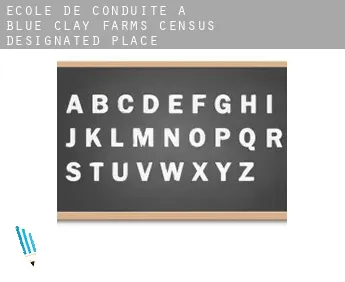 École de conduite à  Blue Clay Farms