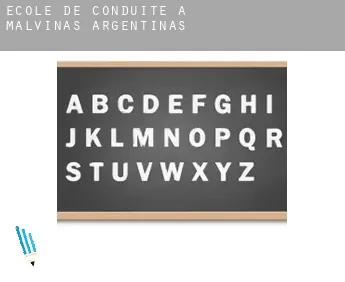 École de conduite à  Malvinas Argentinas