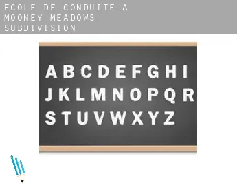 École de conduite à  Mooney Meadows Subdivision