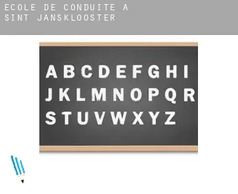 École de conduite à  Sint Jansklooster