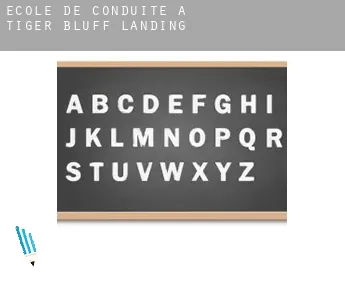 École de conduite à  Tiger Bluff Landing