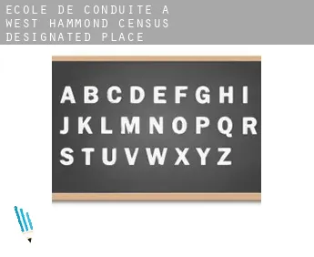 École de conduite à  West Hammond
