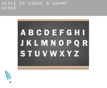 École de danse à  Adams Grove