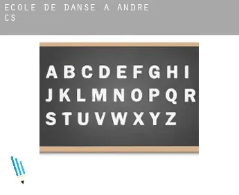 École de danse à  André (census area)