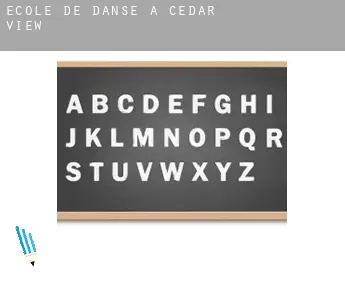 École de danse à  Cedar View