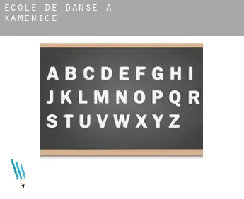 École de danse à  Kamenice