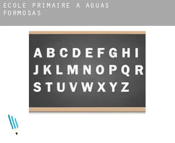 École primaire à  Águas Formosas