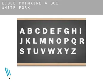 École primaire à  Bob White Fork