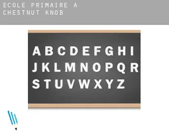 École primaire à  Chestnut Knob