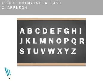 École primaire à East Clarendon
