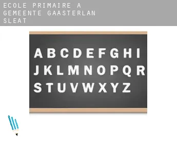 École primaire à  Gemeente Gaasterlân-Sleat