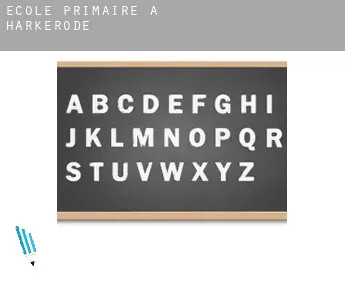 École primaire à  Harkerode