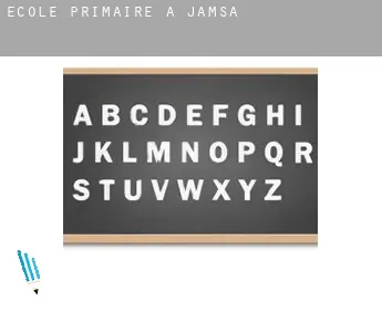École primaire à  Jämsä