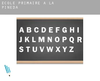 École primaire à  La Pineda