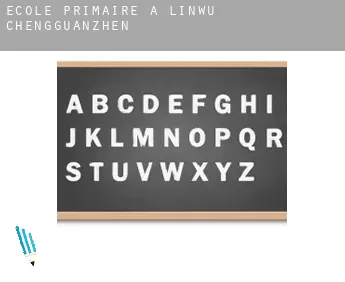 École primaire à  Linwu Chengguanzhen