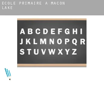 École primaire à  Macon Lake