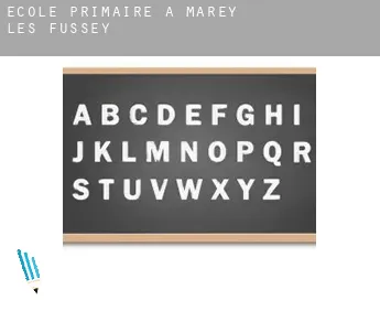 École primaire à  Marey-lès-Fussey