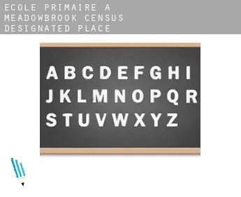 École primaire à  Meadowbrook