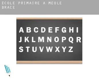 École primaire à Meole Brace