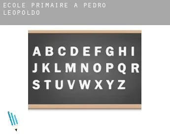 École primaire à  Pedro Leopoldo
