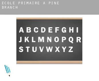 École primaire à  Pine Branch