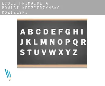 École primaire à Powiat kędzierzyńsko-kozielski