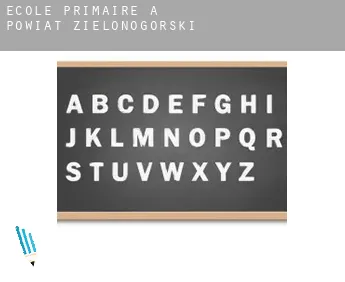 École primaire à  Powiat zielonogórski