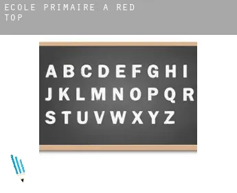 École primaire à  Red Top