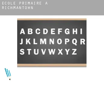 École primaire à  Richmantown
